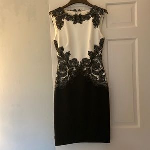Tadashi Shoji Dress